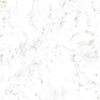 Roman Marble