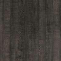 Charred Elm