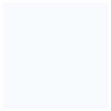 Designer White