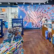 Corpus Aquarium Gift Shop | WilsonartXYou