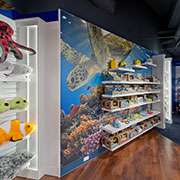 Corpus Aquarium Gift Shop | WilsonartXYou